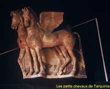 Taquinia